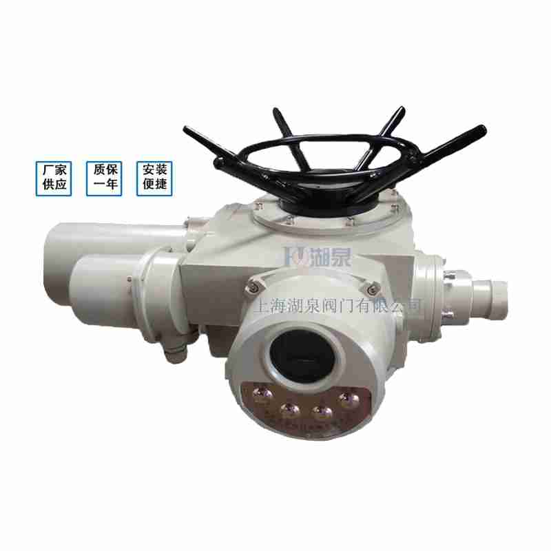 閥門電動裝置（dzw05,10,20，30,45,60，90,12